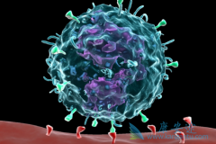 PD-1ҩ��Pembrolizumab���ҹ����е����ƽ��������鵥��