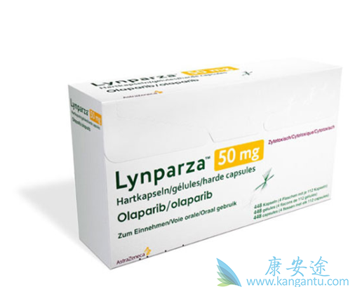 �������᲻����Ӧ