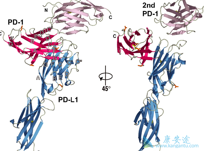 ��ķ����