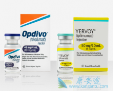 ��PD-1���Ƽ�Ϊ�����İ�֢�����Ʒ��Ѿ����й�����