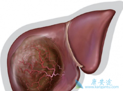 �����/�����������ҹ��ΰ��������������ļ�������