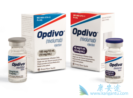 PD-1抑制剂 PD-1抑制剂