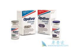 �����������Ʒ�����Сϸ���ΰ������е�����Ч��