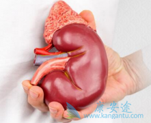 ӡ�ȶ༪��/�������������������ߵ���ҩָ��