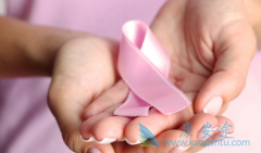 �����鵥��(Herceptin)/����͡����Ҫ����һ����