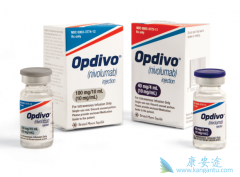 �ڹ���ʹ��PD-1���Ƽ�Opdivo���ư�֢��ע������