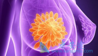 依西美坦片 依西美坦片