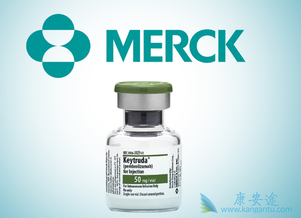 ���߼������Ƽ�