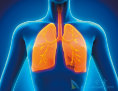 ���䵥��(Nivolumab)��������������ܷ���߷�Ӧ�ĳ�����