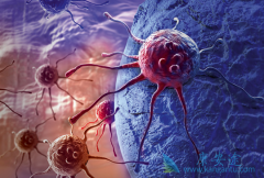 PD-L1����atezolizumab�ܷ���Ϊ���װ����ߵ�һ����ҩ