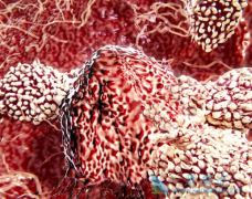 Ŀǰ�Ϸ��İ�ϣ����/̩��ɳ����ҩ���������ϼ���