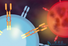 CAR-T�����Ʒ������������а�֢�������Ƶ���Ҫԭ������Щ