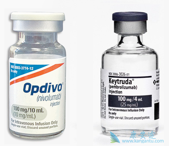 肝癌免疫治疗 肝癌免疫治疗