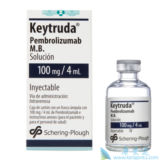 PD-1单抗 PD-1单抗