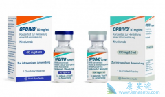 �������е�PD-1���Ƽ�ŷ���֣�Opdivo���ֱ�FDA��׼����Сϸ���ΰ�