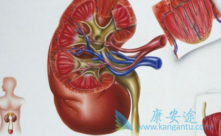 帕唑帕尼 帕唑帕尼