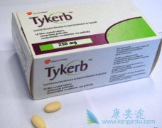 ���׵�������LAPATINIB���ӳ����ٰ����ߵ��޽�չ�����ں���������