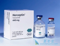 ����͡�������鵥�����ǽ�Ϊ֪����HER2����