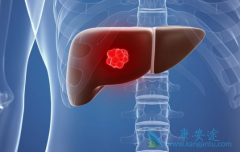 ������ͣҩ��Ӧ���ַ�����(Lenvatinib)/�ط����᲻����Ӧ�ķ���