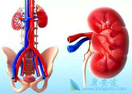 阿昔替尼 阿昔替尼