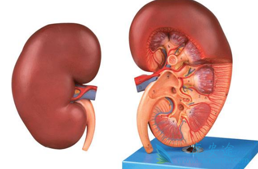 阿西替尼 阿西替尼