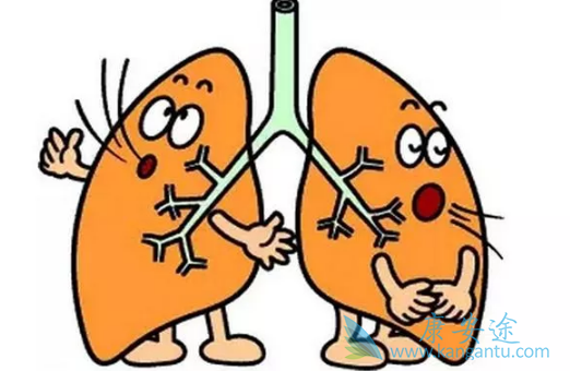 特发性肺纤维化 特发性肺纤维化