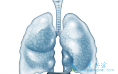 ӡ������ɳ/��������ĸ������������ص��Ǽ����Է���