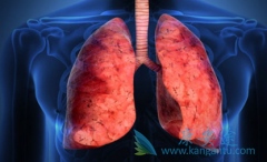 ӡ�����޿�(GRLONAT)����ҩ����Ƕ��