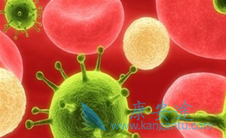 伏立诺他 伏立诺他