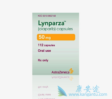 卵巢癌患者 卵巢癌患者