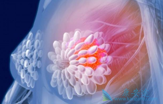 氟维司群 氟维司群