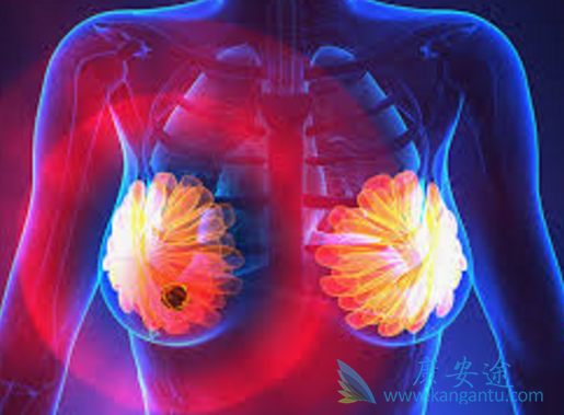 氟维司群 氟维司群