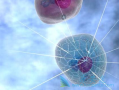 �ϼ�����³�����������ܰͰ�������Щ����