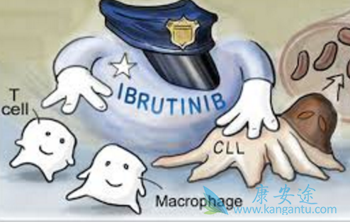 依鲁替尼 依鲁替尼