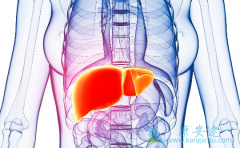 ӡ�ȷ���ҩ�༪��(Sorafenat)�ѻ������FDA����ʱ��׼