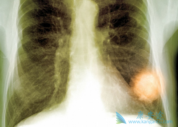 ��ϣ����