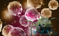 BEACON���Ƶİ�ϣ����(Tagrix)�¾ɿ��װ����ʲô��ͬ