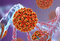 �����Ҹλ��߷�����ŵ��Τ����(TAF)��ʵ���ٴ�������