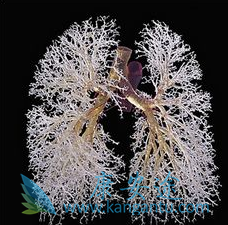 ������̹Ƭ