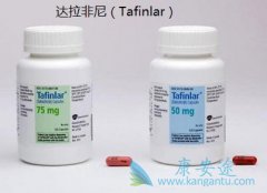 ���Ժ�ɫ������ҩ���������(dabrafenib)������������ɭ֢�ķ�չ