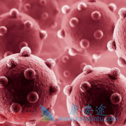 ��������(Olaparib)����AZD1775����Сϸ���ΰ�Ч����ô��