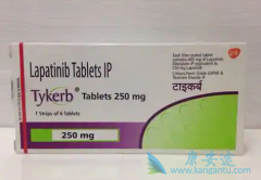 ��������(Lapatinib)��ҩ�������ٰ�����Ч���Ƕ���