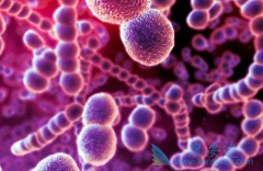 Ϊʲô��Ī����(Nolvadex)�Բ������ٰ����ߵ���Ч�ر��