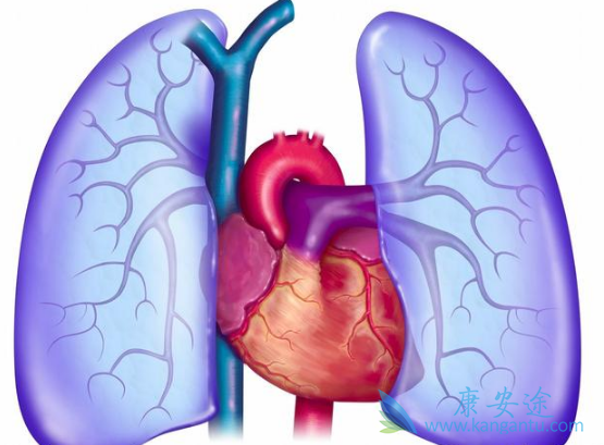 克唑替尼 克唑替尼