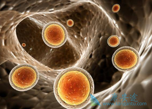 克唑替尼 克唑替尼