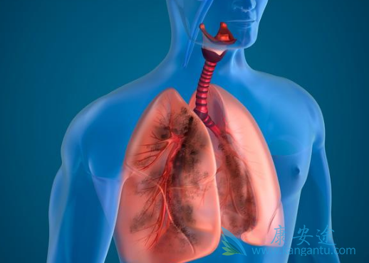 克唑替尼 克唑替尼