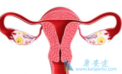 ��������(SORAFENIB)���ϻ��ƿ������Ÿ����ѳ�������PFS��OS