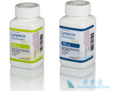 ����������ҩPARP���Ƽ�����������Olaparib�����й�����