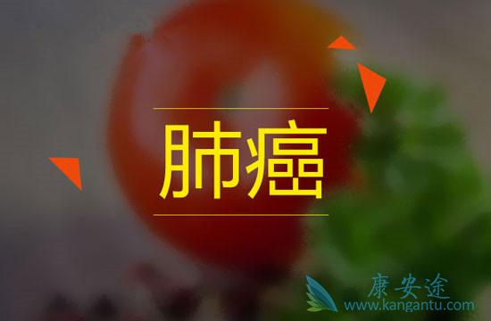 肺癌治疗 肺癌治疗