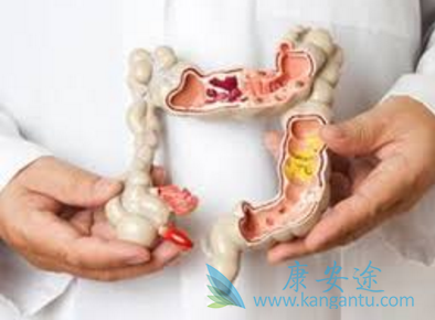 瑞格菲尼 瑞格菲尼